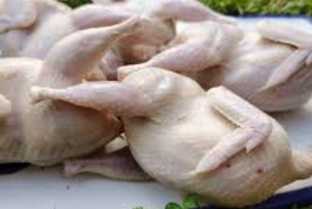 Продам мясо домашних перепелов