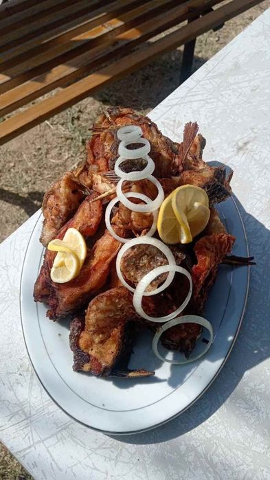Отдых и рыбалка на ЭкоОрол