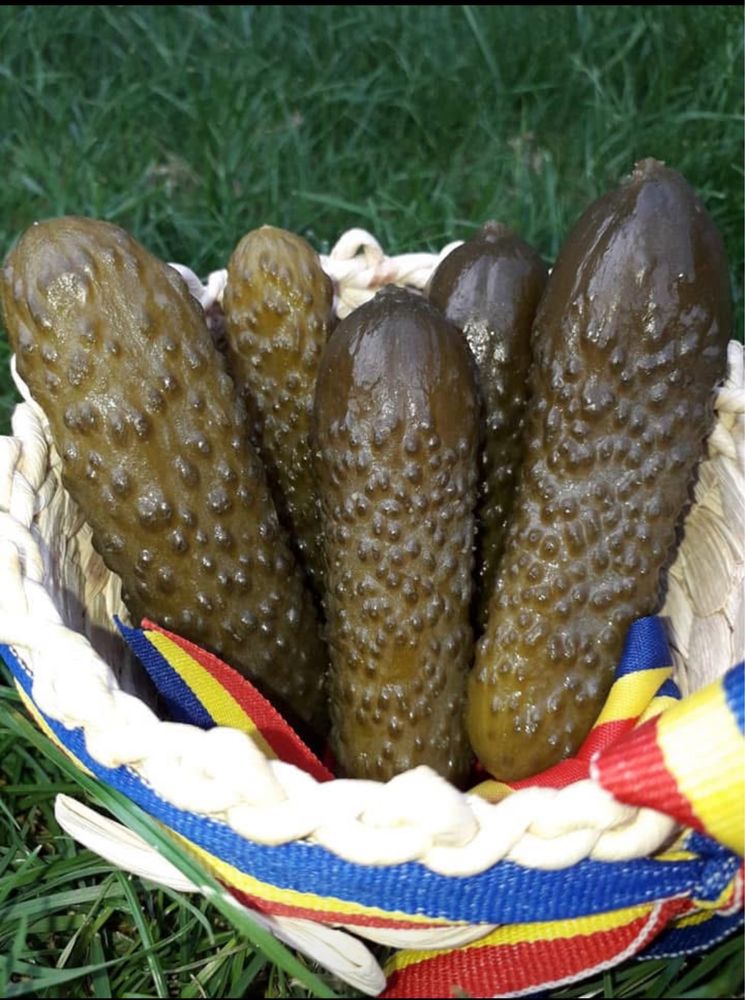 castraveti murati