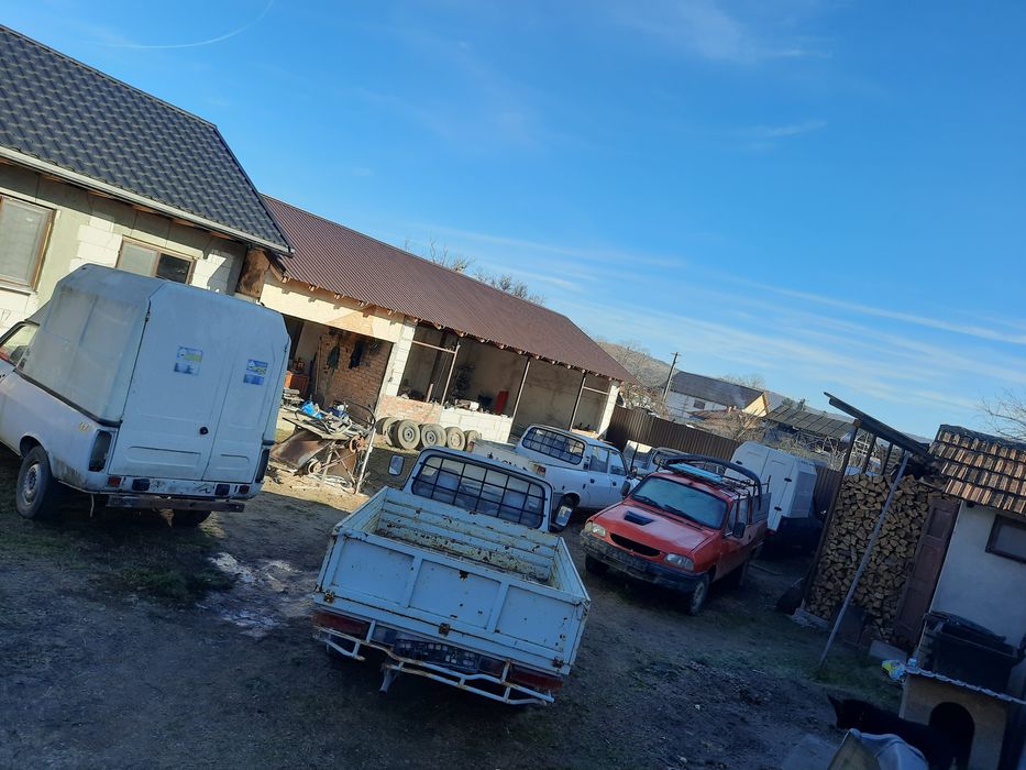 Dezmenbrez mașini dacia papuc