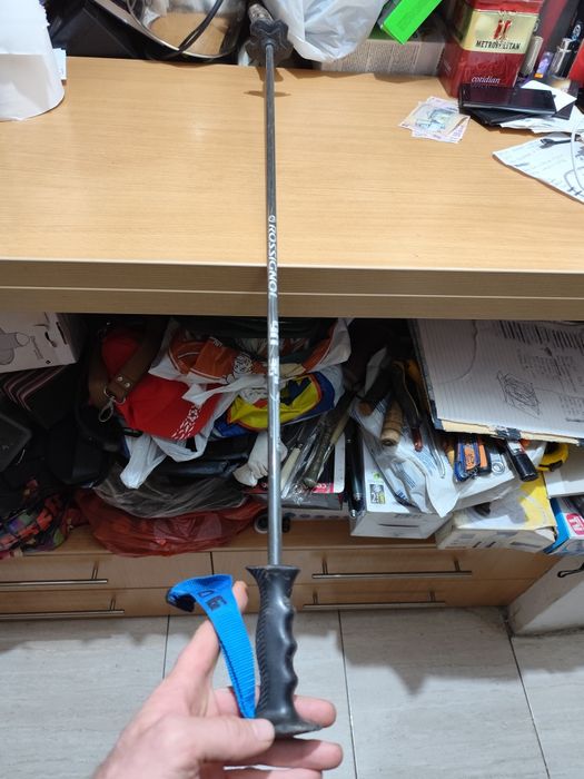 Bete de mers pe munte