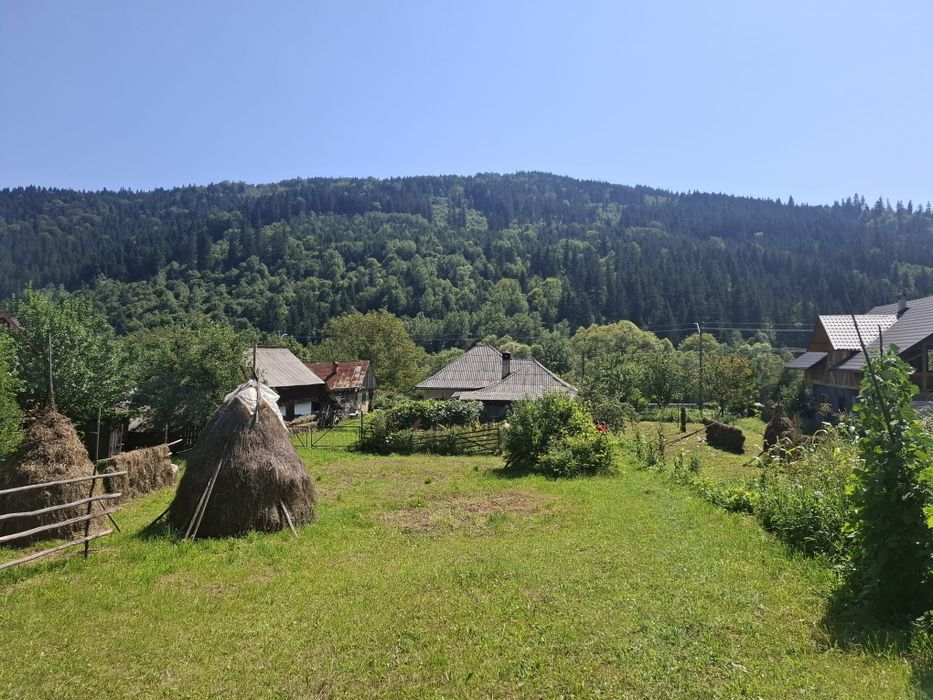 Casa si teren intravilan 5594 mp , utilități, livadă, Grințieș (Neamț)