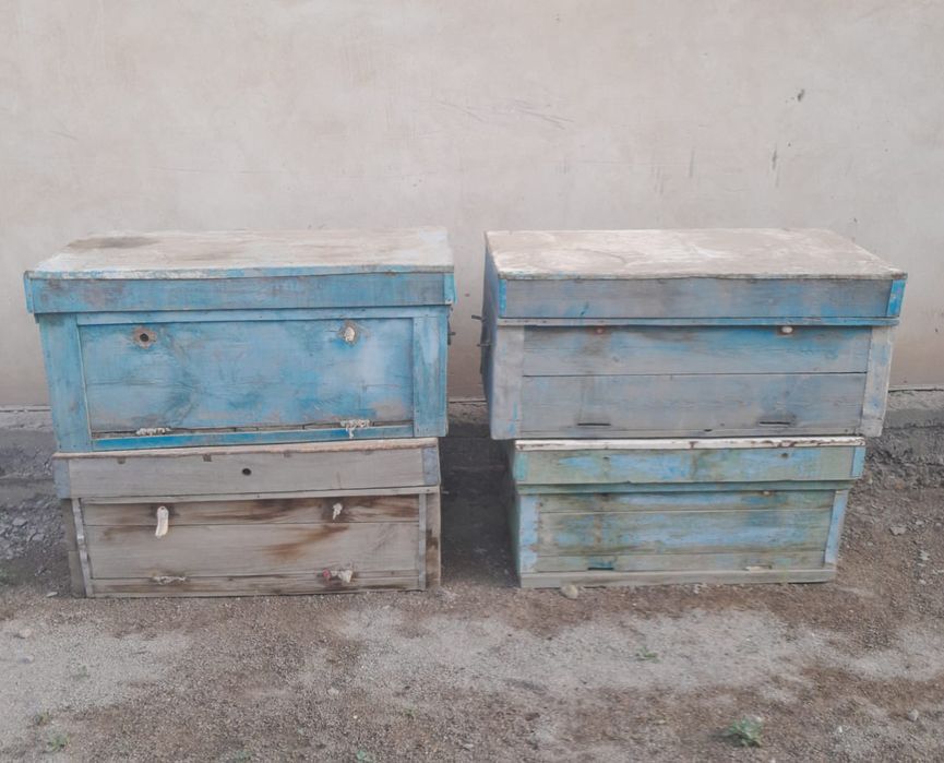 Продам ульи для пчел