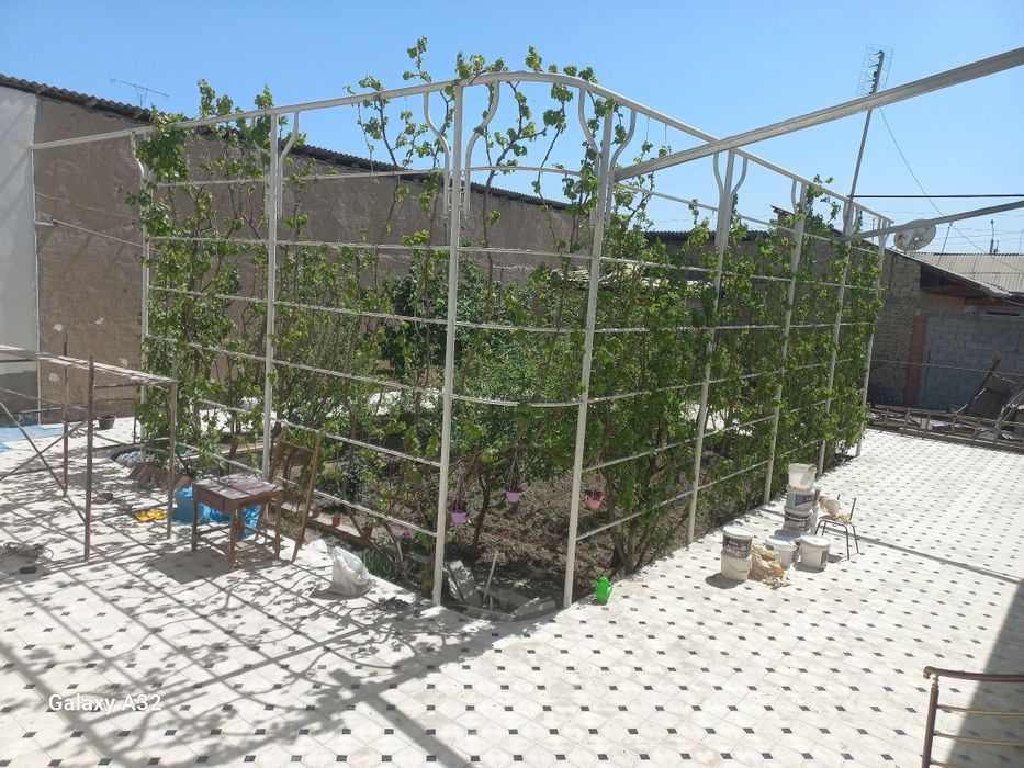 Burchatka Terish Xizmati