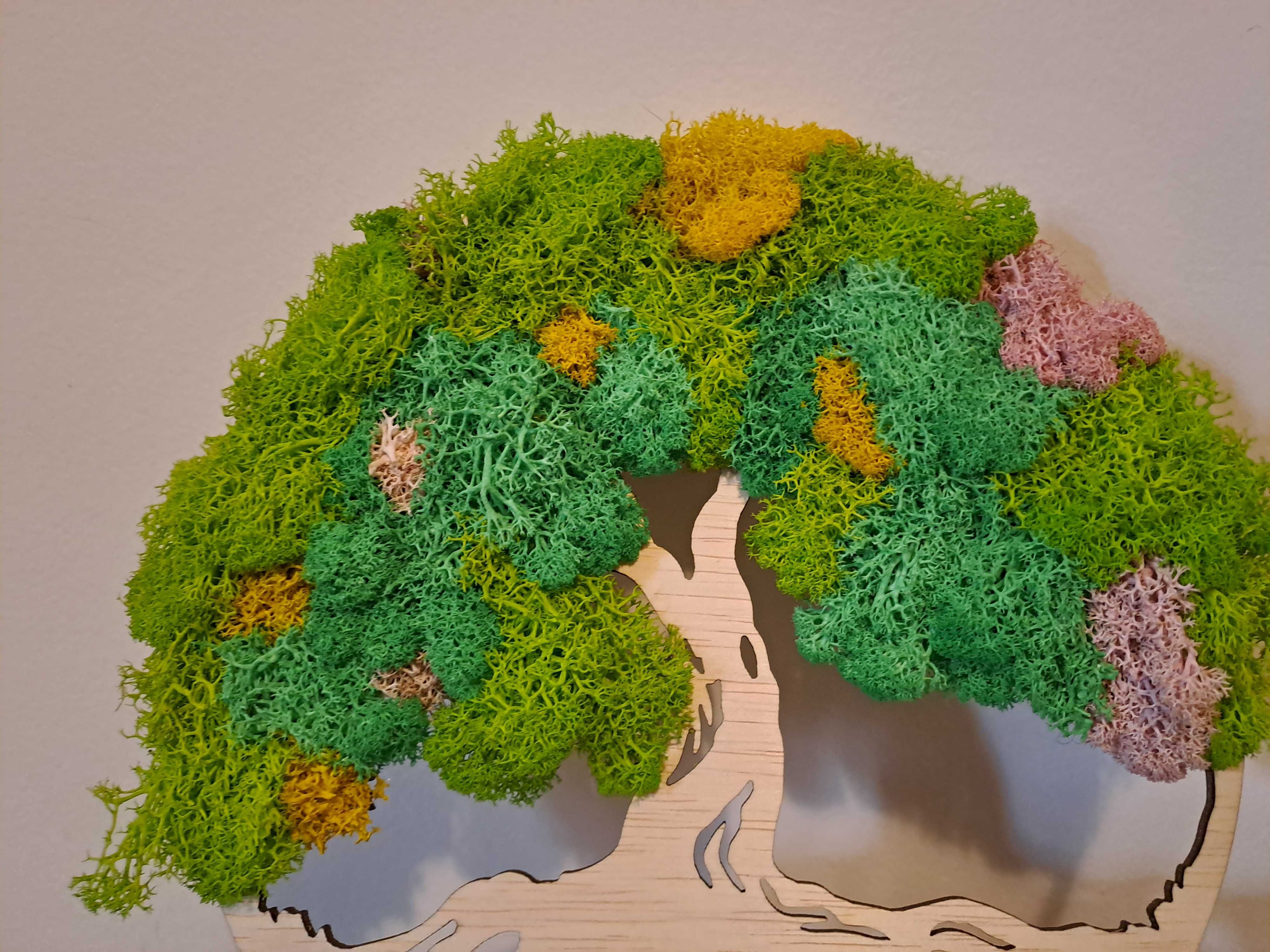 Copacul vietii cu licheni 20 cm diametru
