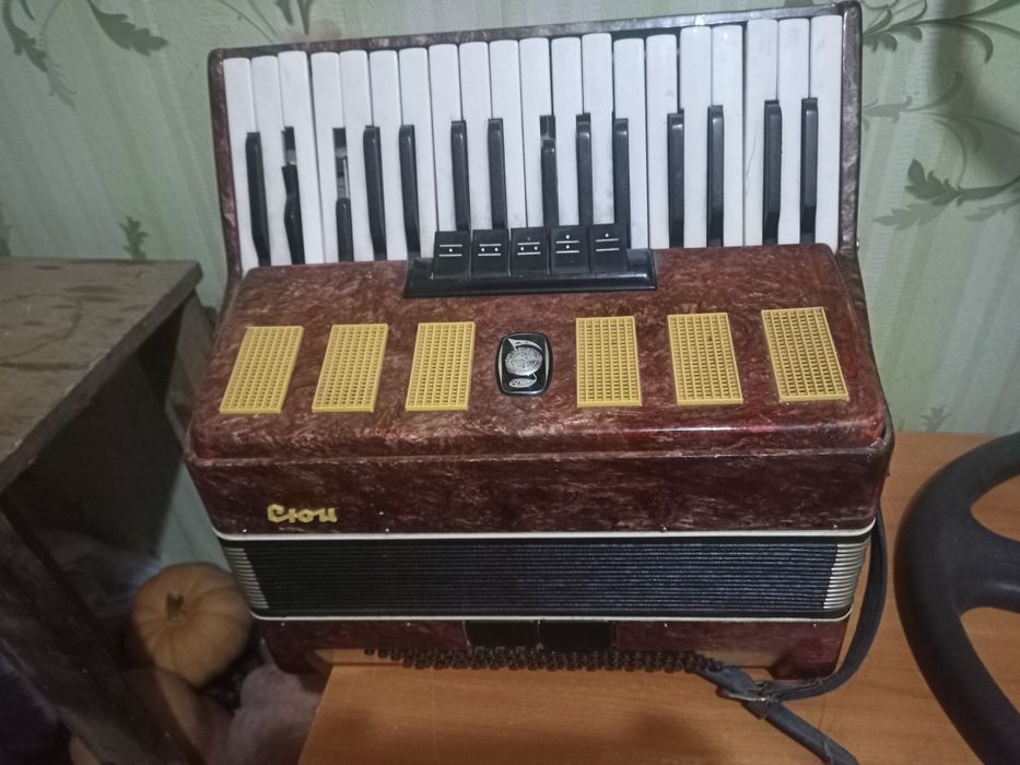 Аккордеон сюита детская