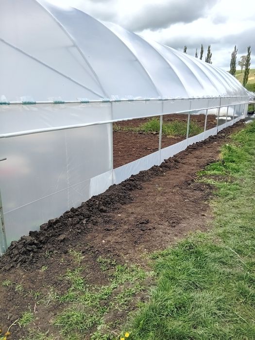 Solare si sere legume