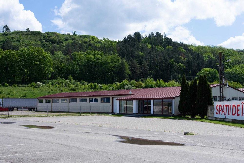 Hale/birouri de închiriat | Scheia