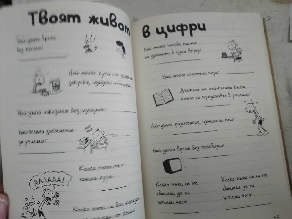 дневникът на един дръндьо направи си сам книга,нова.