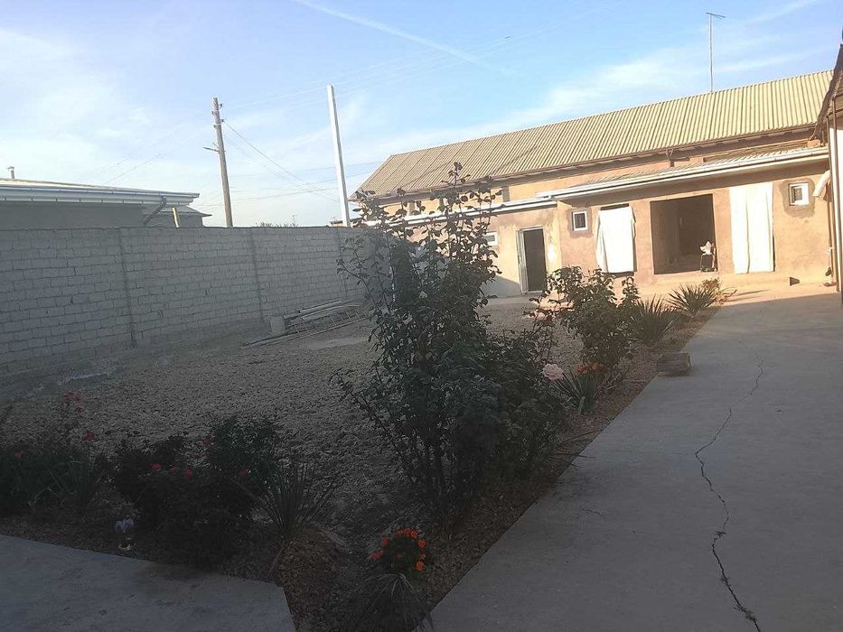 Олтинтепада файзли ховли сотилади. NR494/16