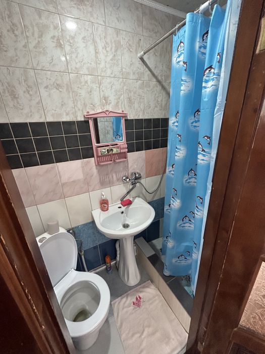 Боровое В центре!!! дом и домики