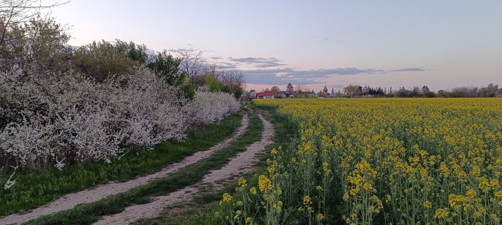 Teren de vânzare în Poienarii Burchii aproape de București.