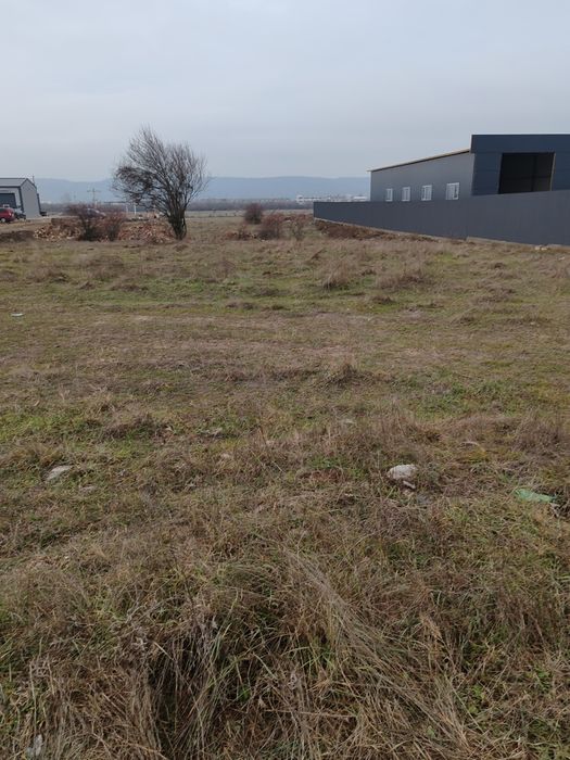 Vând teren centura Narciselor