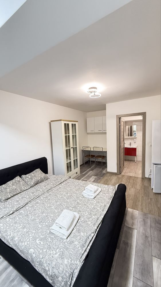 Cazare in Regim Hotelier ap1-2 cam Iasi Centru Palas