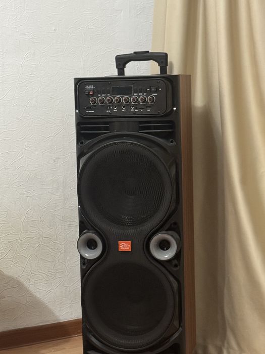 Колонка музыкальная с караоке