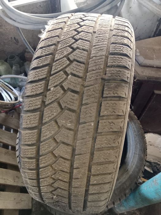 Қыстык дөңгелектер