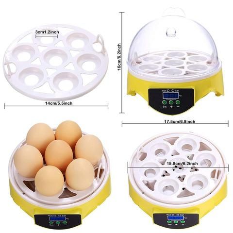 Мини инкубатор для 7 яйцо в домашних условиях цыпленок, яйца балапан