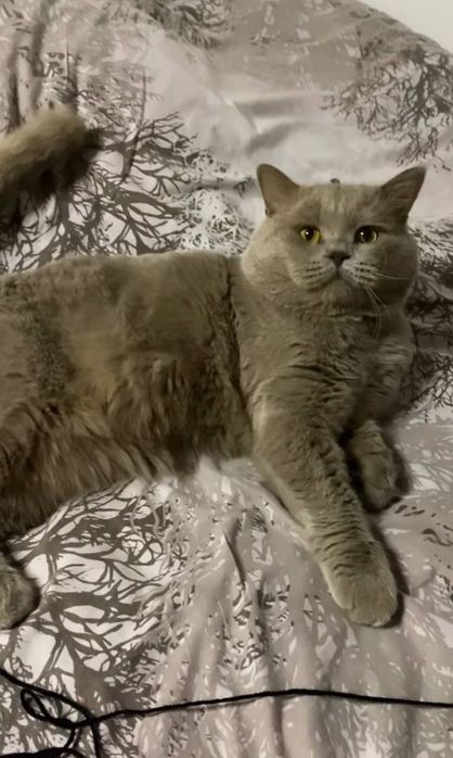 Вязка не продаётся