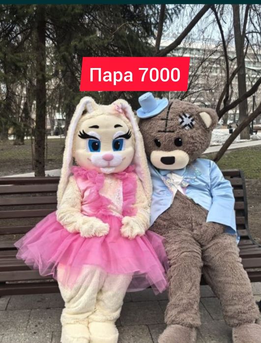 Прокатот от 4500 до 6000 костюм мишка . Аренда ростовых кукол