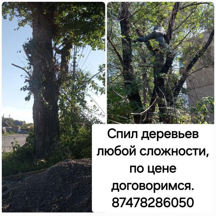 Пилим деревья. Недорого. Ағаш кесеміз