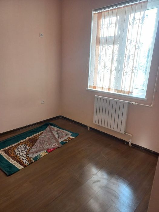 Kotej sotiladi savxo'z yo'lni yuzida