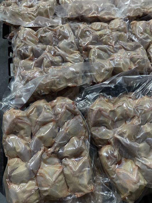 Перепелка свежий забой