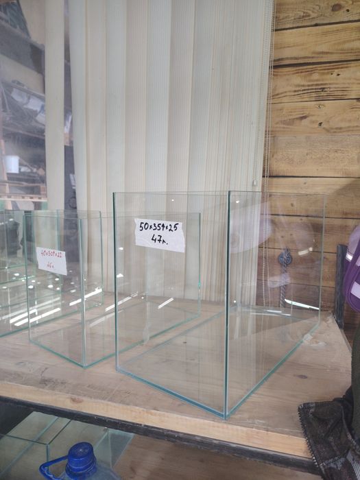 Аквариум в Астане