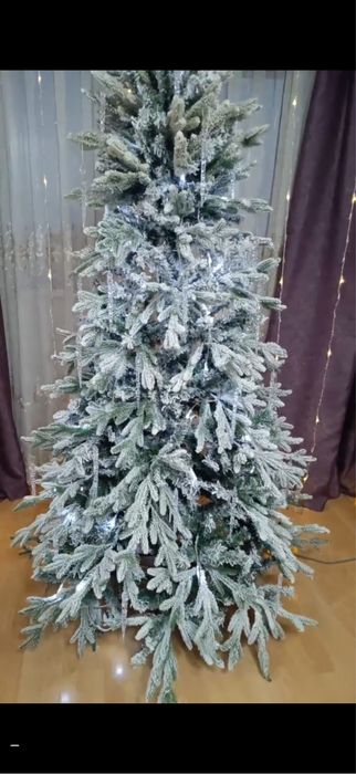 Елка красотка 2026