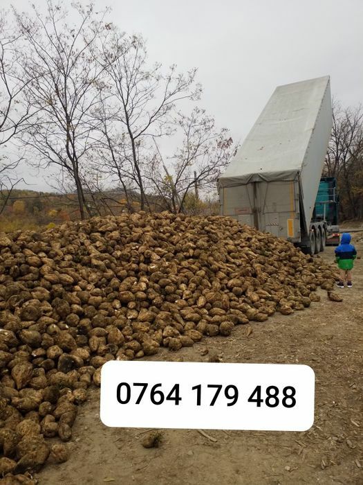 Sfecla de zahar pentru animale oi,vaci,capre,vitei‼