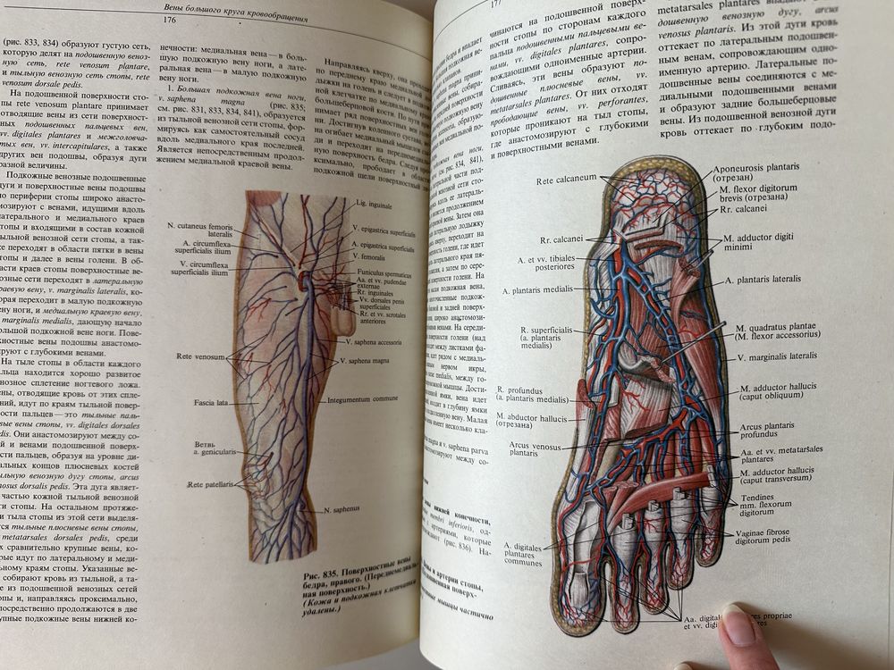 Атласи по анатомия
