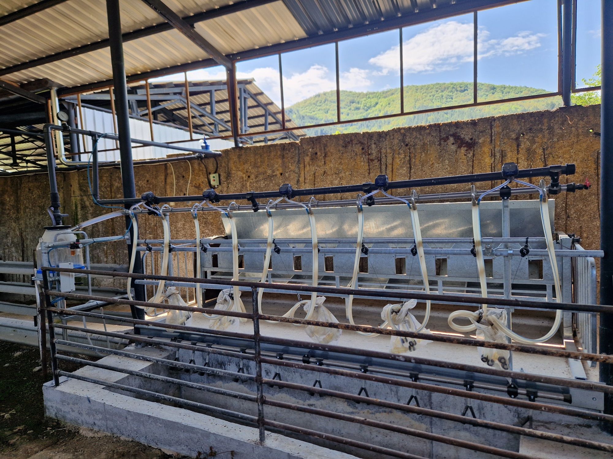Продавам чисто нова, дойлна инсталация, за 10 животни.
С