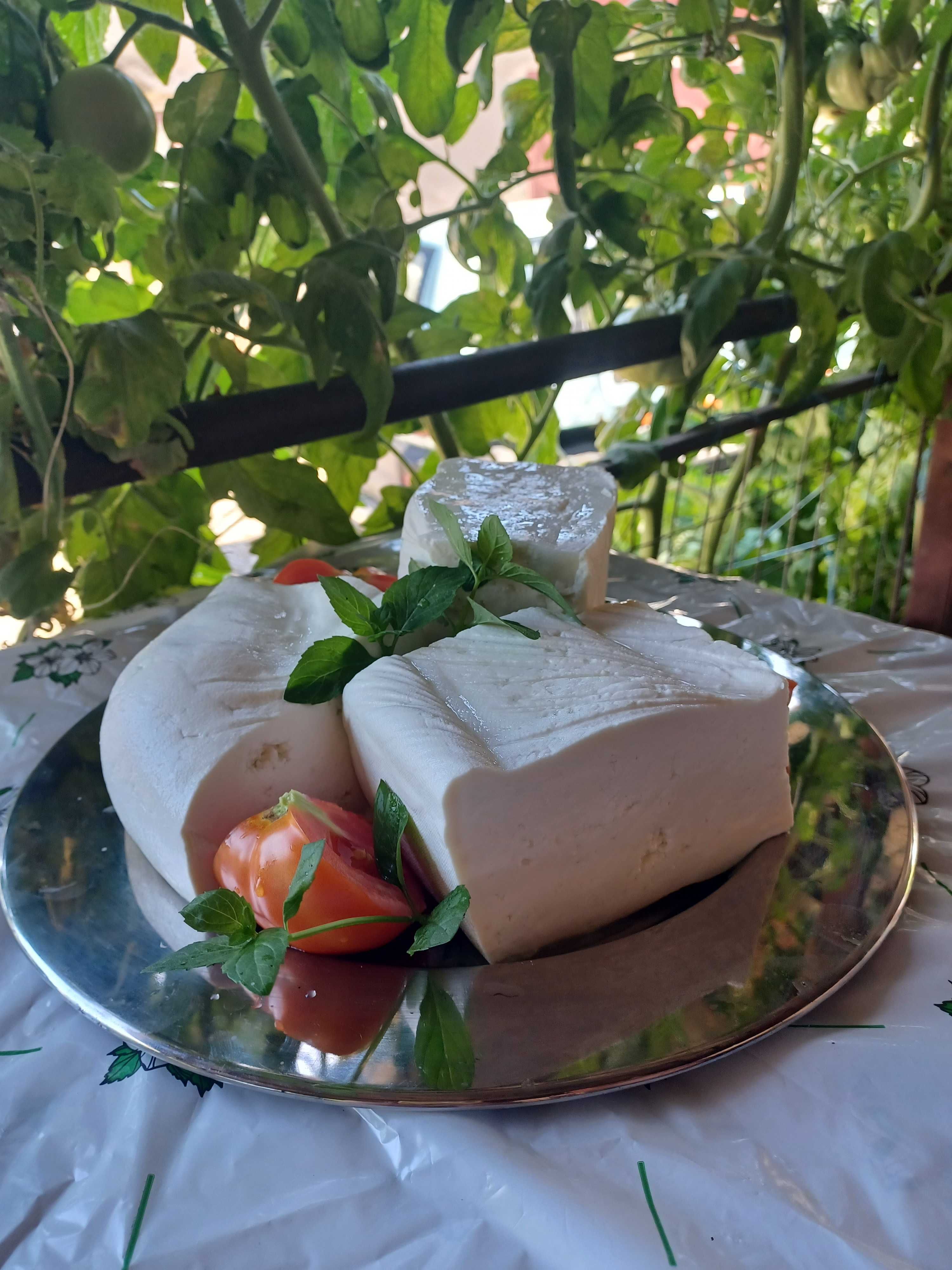 козе сирене и мляко