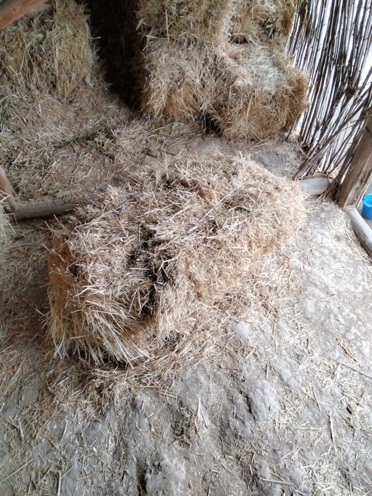 sotiladigan posbonlar bor