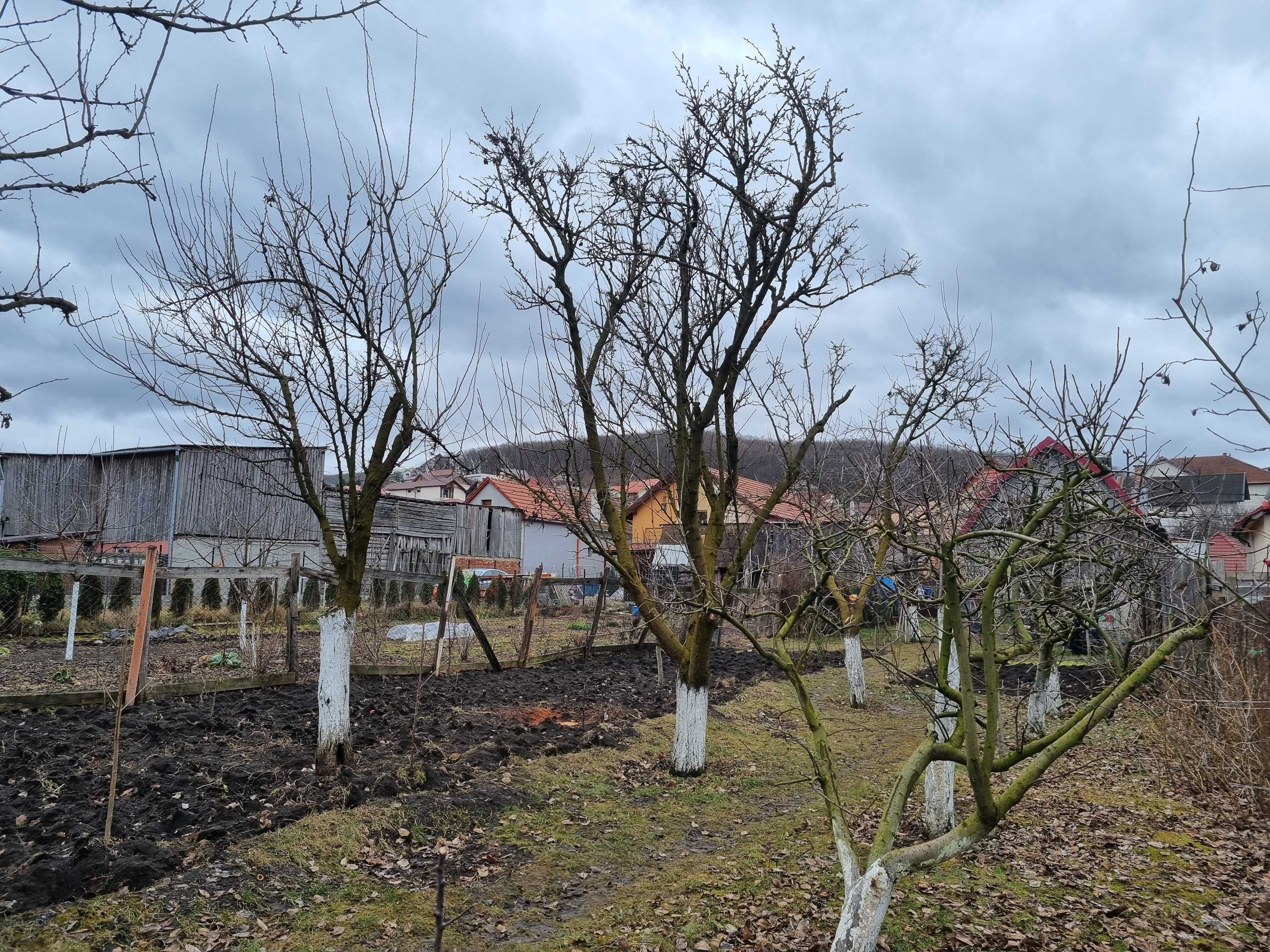 Vând casă în Cluj-Napoca, pe strada Câmpului