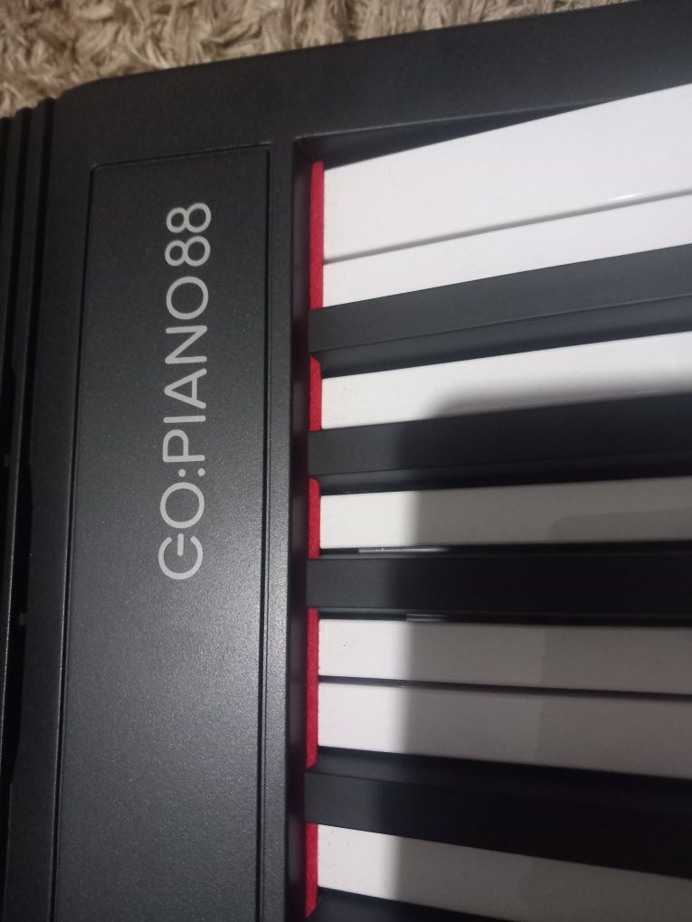 GO:PIANO88 DE LA rolando