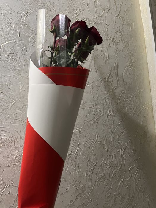 роза 5 еу бугынгы