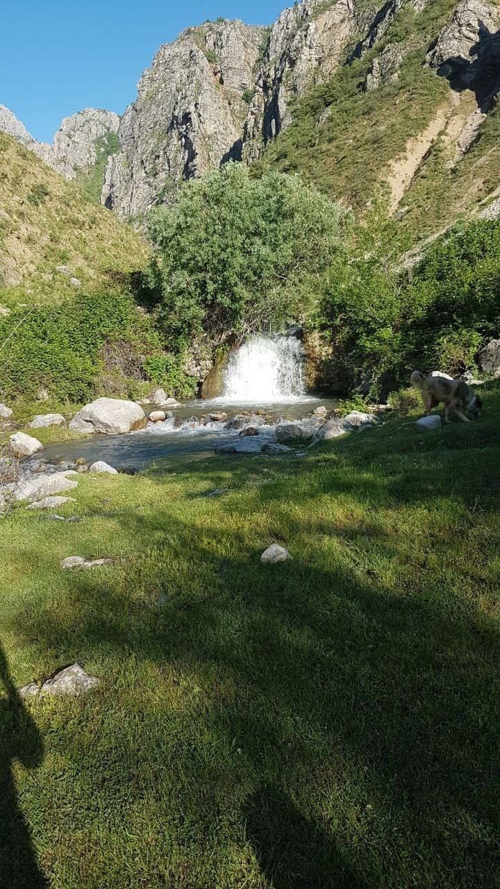 Dacha Everest burchimullada maklersz