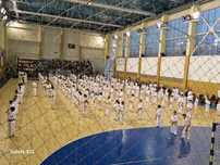 Inscrieri karate