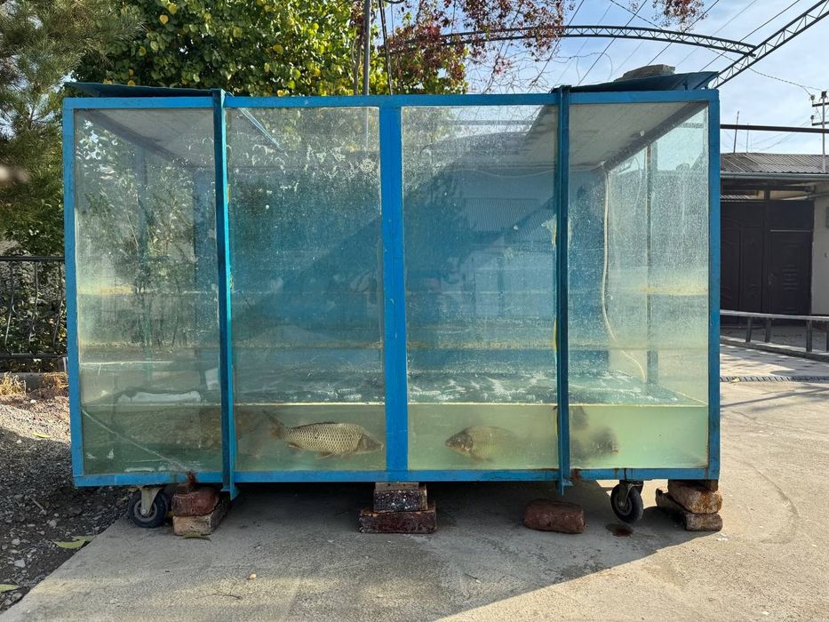 Аквариум для рыбы