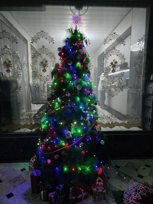 Арча сотамиза . Продаетса Елка  2мет40см