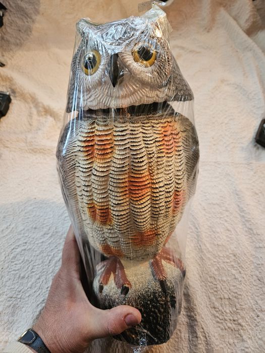 Бухал за изгонването на гълъби от балконите