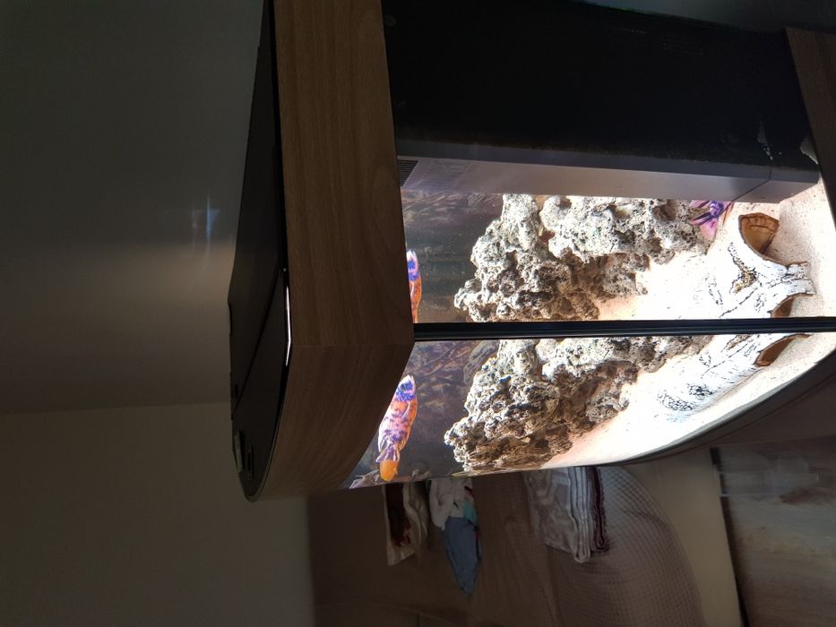 Acvariu complet echipat inclusiv dulap Juwel Vision 180 litri LED
