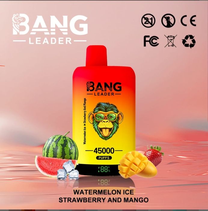 OFERTA 2 X Bang Leader 45000 Puffs 2 Arome Reîncărcabil