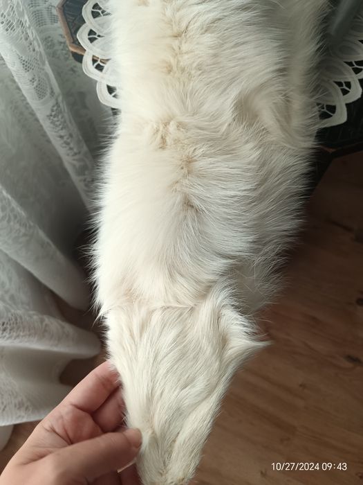 Vând guler și căciulă de blană vulpe polară