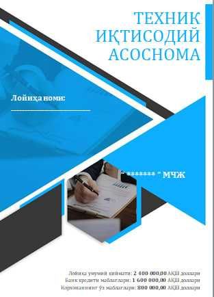 Бизнес режа, Техник Иқтисдий Асоснома (ТЭО) Тайёрлаш хизмати