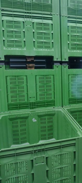 Boxpaleti - Cutii plastic - Cuve Perforați / Pt Fructe, Legume