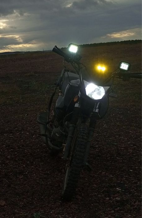 Альфа Чамп 2023года