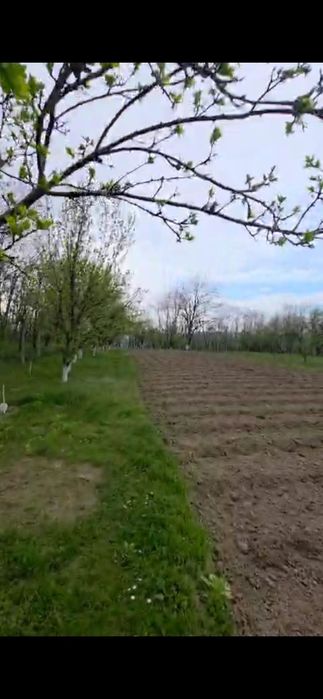 Vând teren intravilan 1700mp