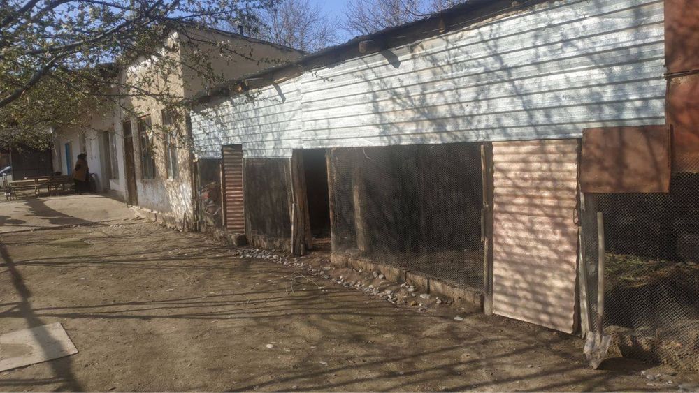 Uy xonadon sotiladi nazarbek obod mahallada