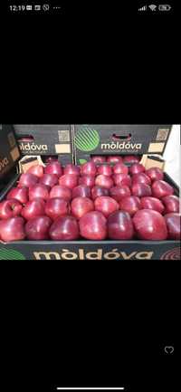 Mere Red Chif EXPORT din Republica Moldova